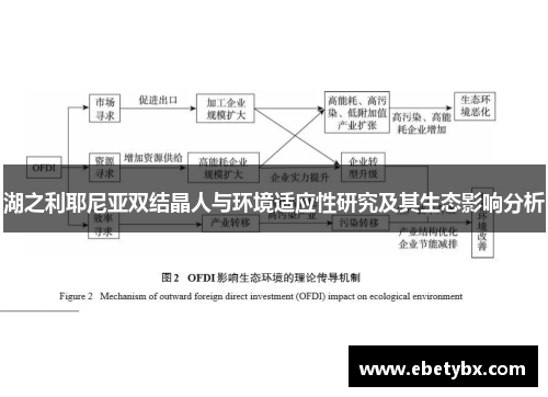 湖之利耶尼亚双结晶人与环境适应性研究及其生态影响分析